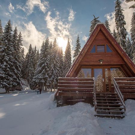 Complex Malina Pamporovo Villa Kültér fotó