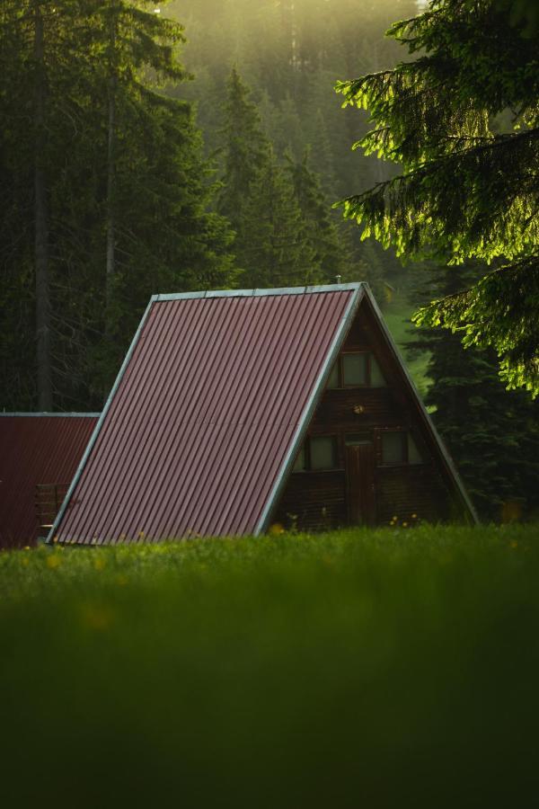 Complex Malina Pamporovo Villa Kültér fotó