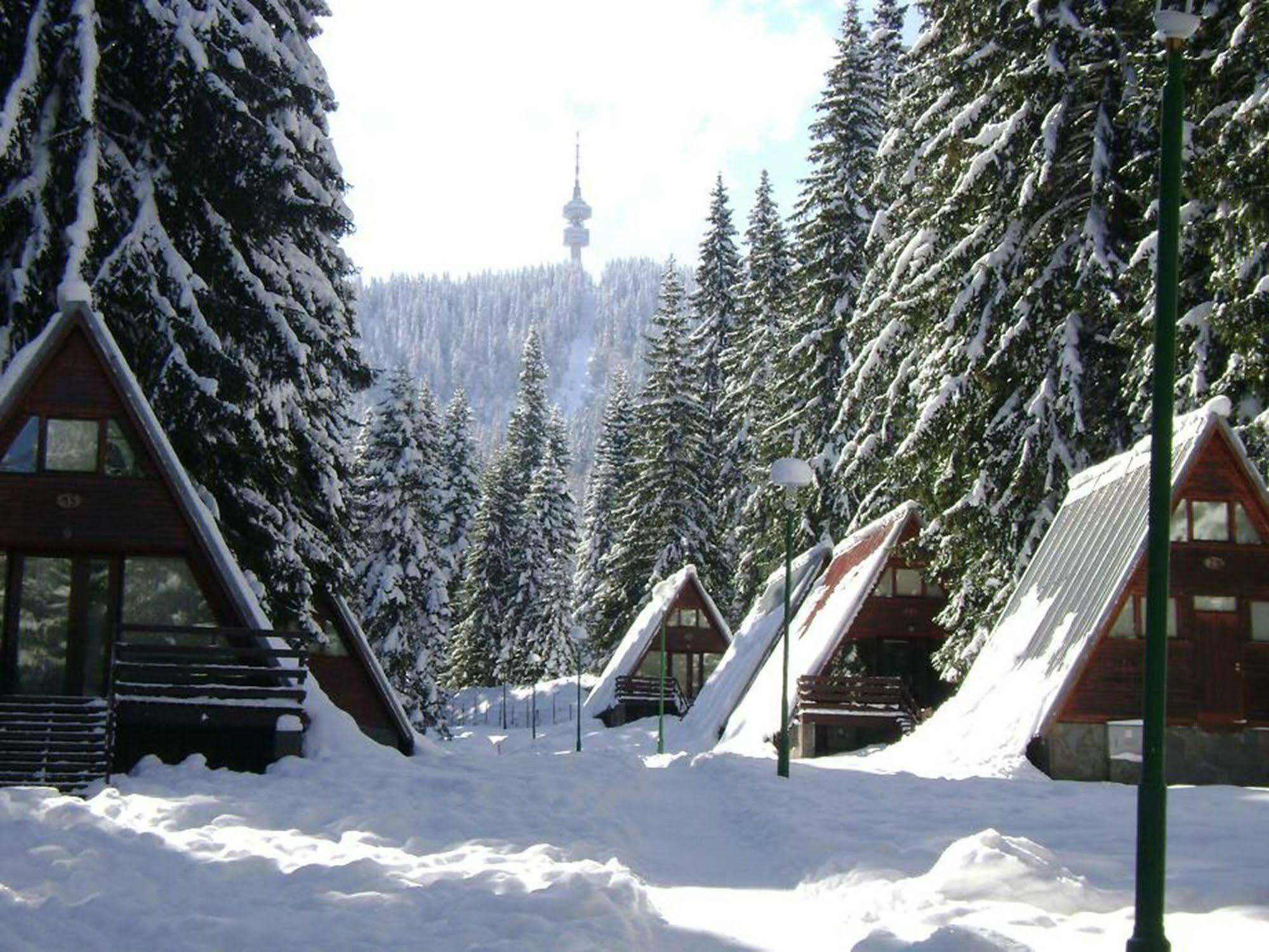 Complex Malina Pamporovo Villa Kültér fotó