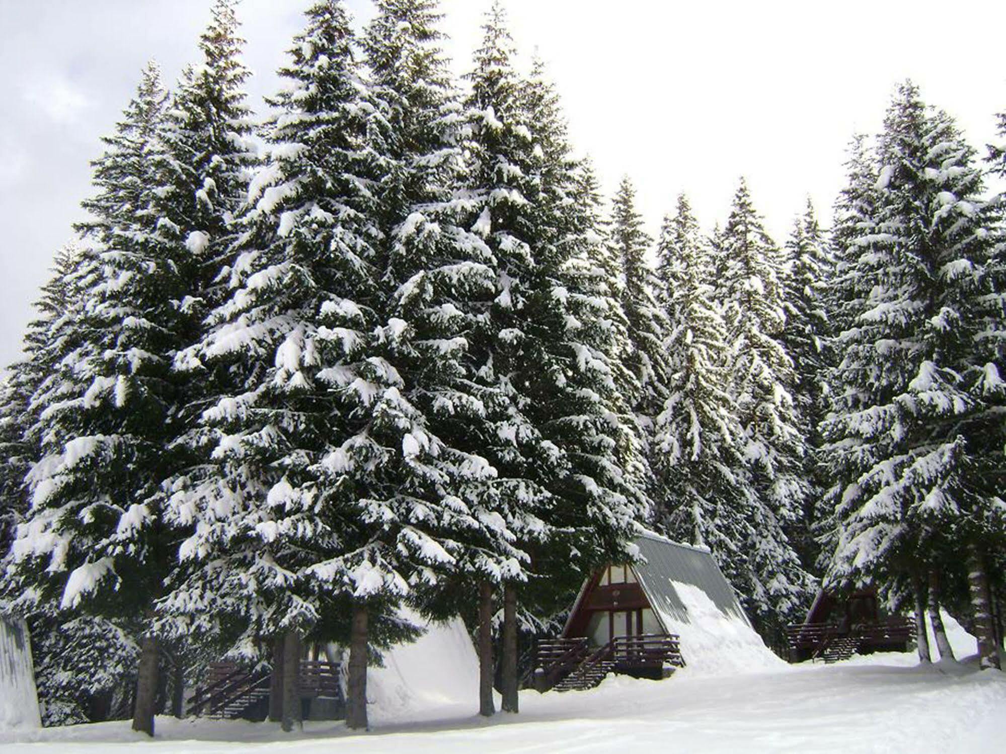 Complex Malina Pamporovo Villa Kültér fotó