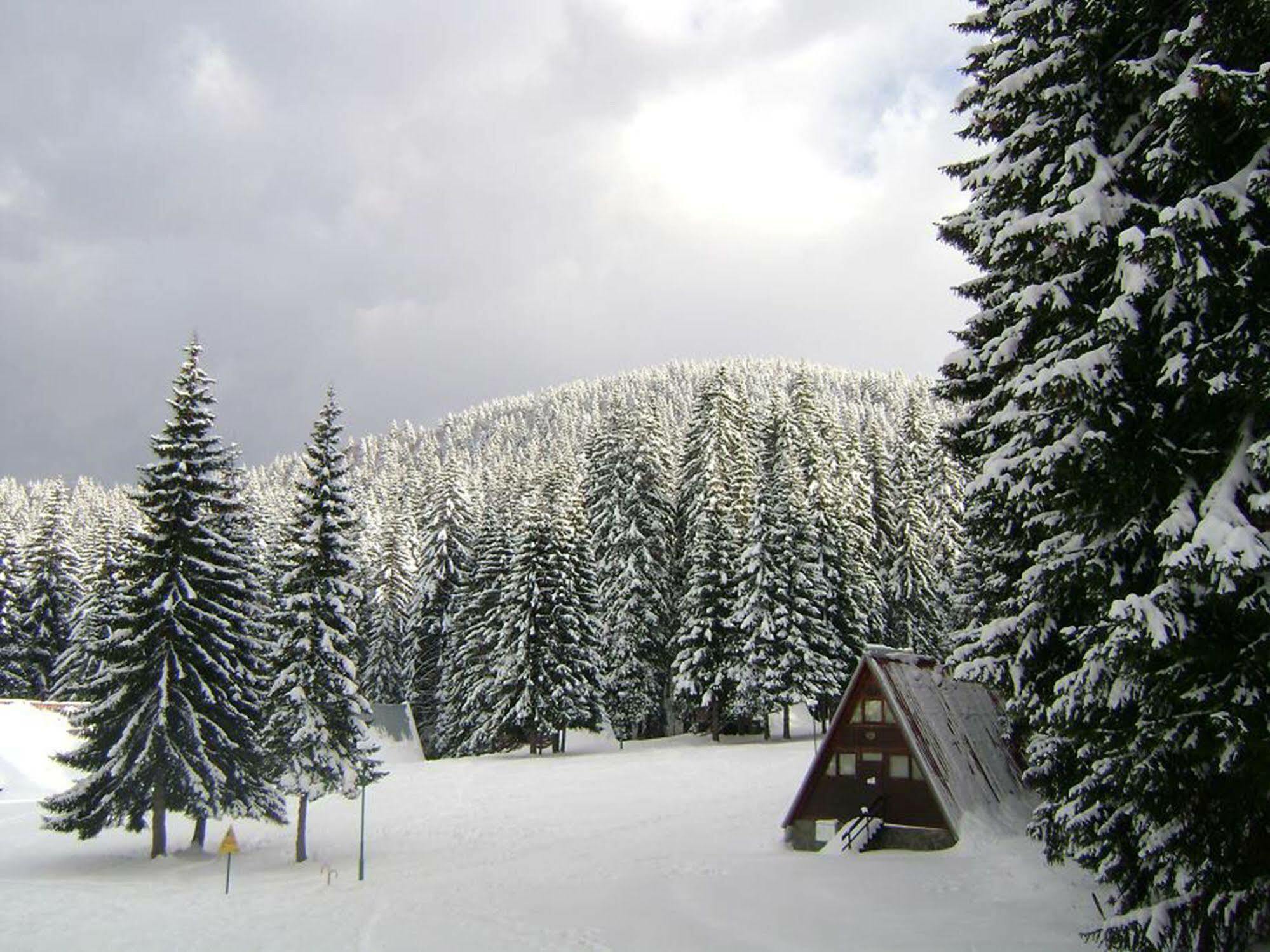 Complex Malina Pamporovo Villa Kültér fotó